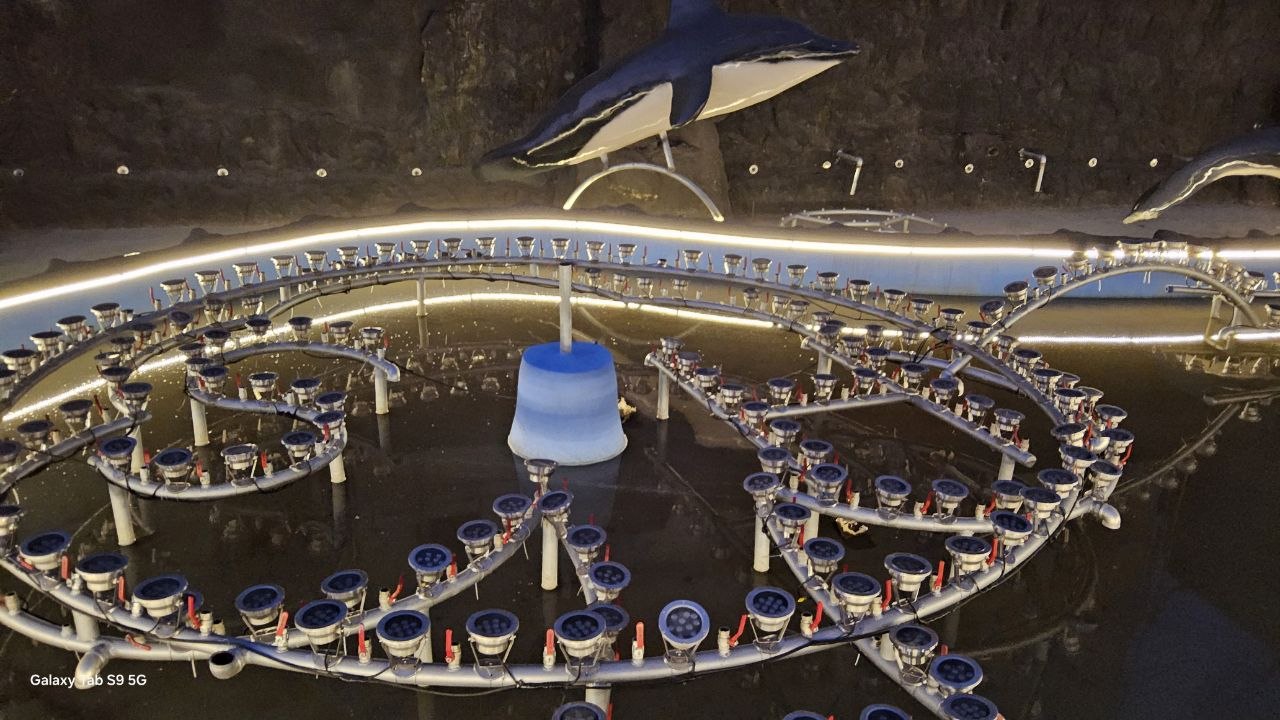 photo_9_2026-01-28_11-13-16